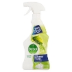 Picture of DETTOL BATHROOM TRIGGER - SPRING FRESH 500ml