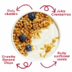 Picture of KELLOGGS GRANOLA FRUIT MIX 700g