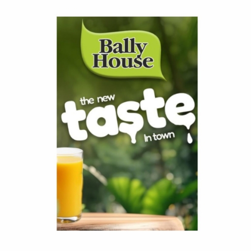 Picture of BALLY HOUSE LEMON & LIME DAIRY BLEND 2L