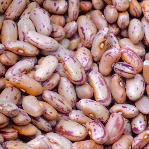 Picture of VICTORIA SUGAR BEANS 500G