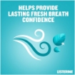 Picture of LISTERINE MOUTH WASH MILD MINT 500ml